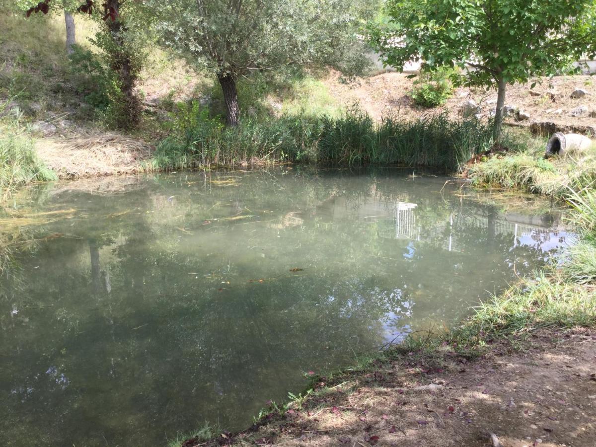 Mazet Tournesol Aux Portes Du Verdon Saint-Martin-de-Brômes 外观 照片